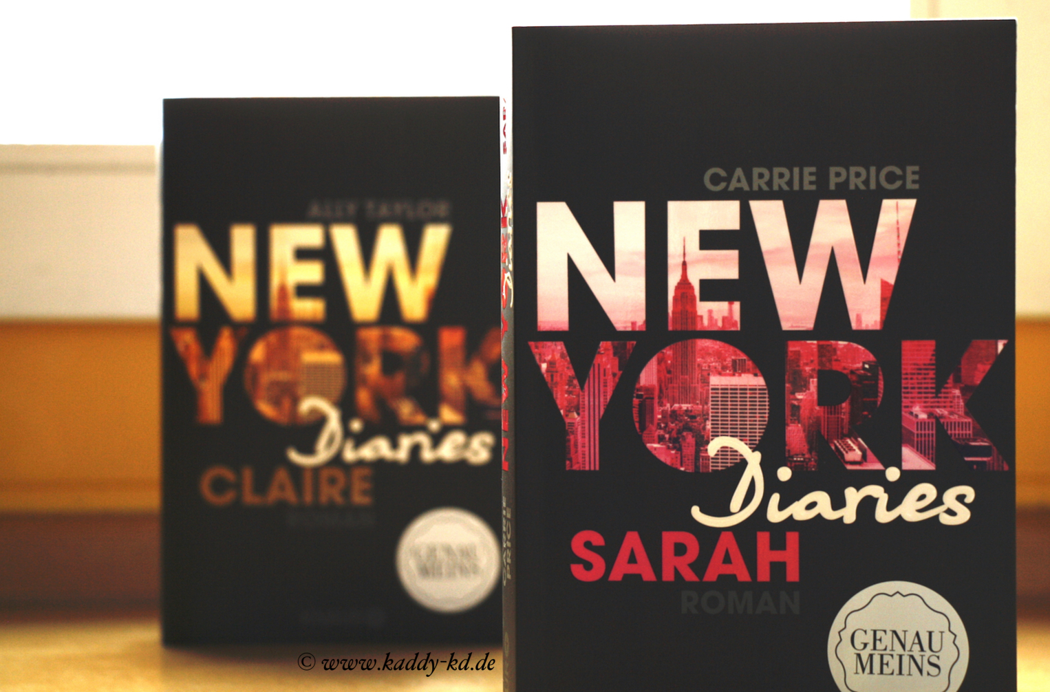 New York Diaries Reihe Sarah und Claire