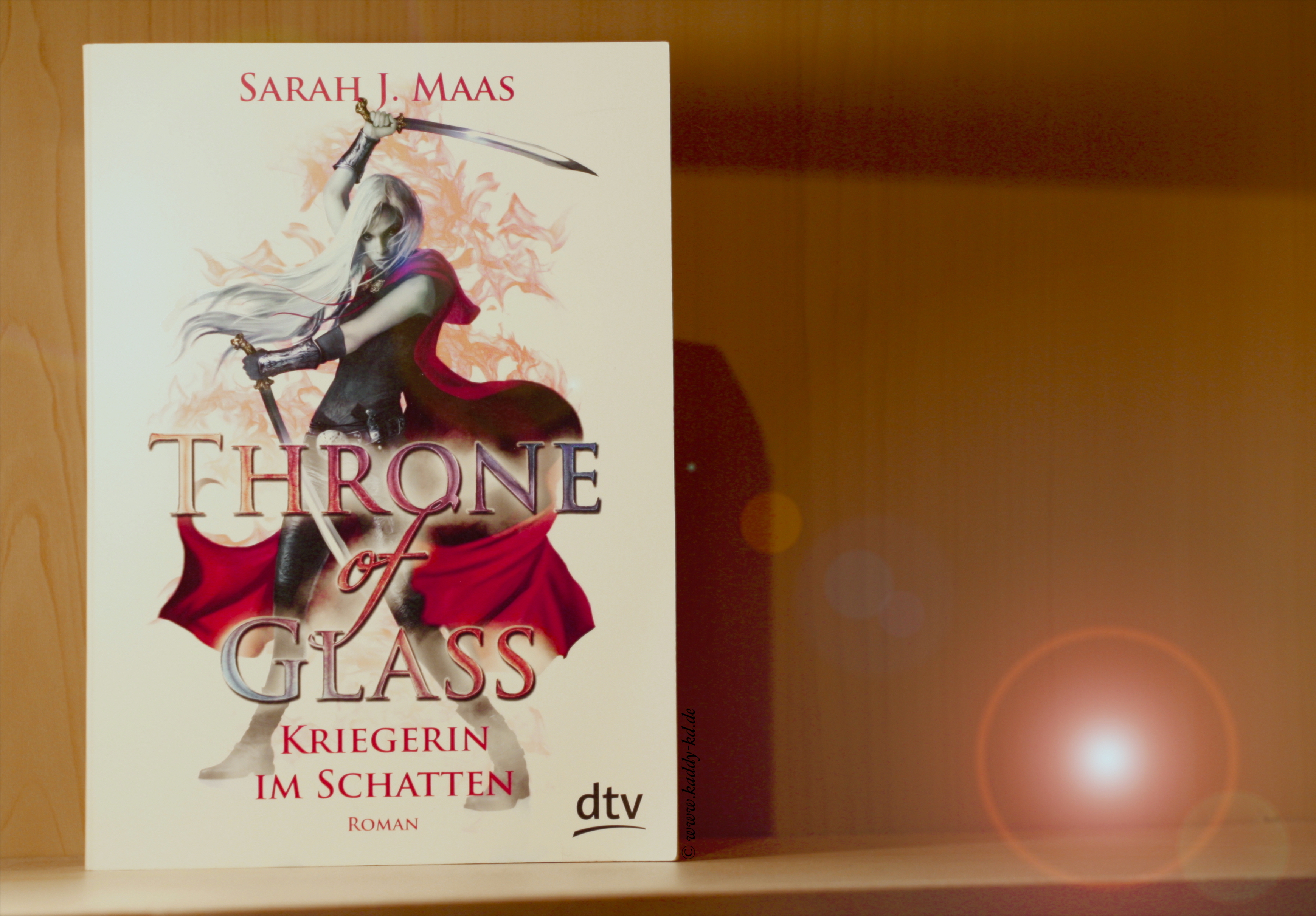 Throne of Glass Kriegerin im Schatten Buchcover