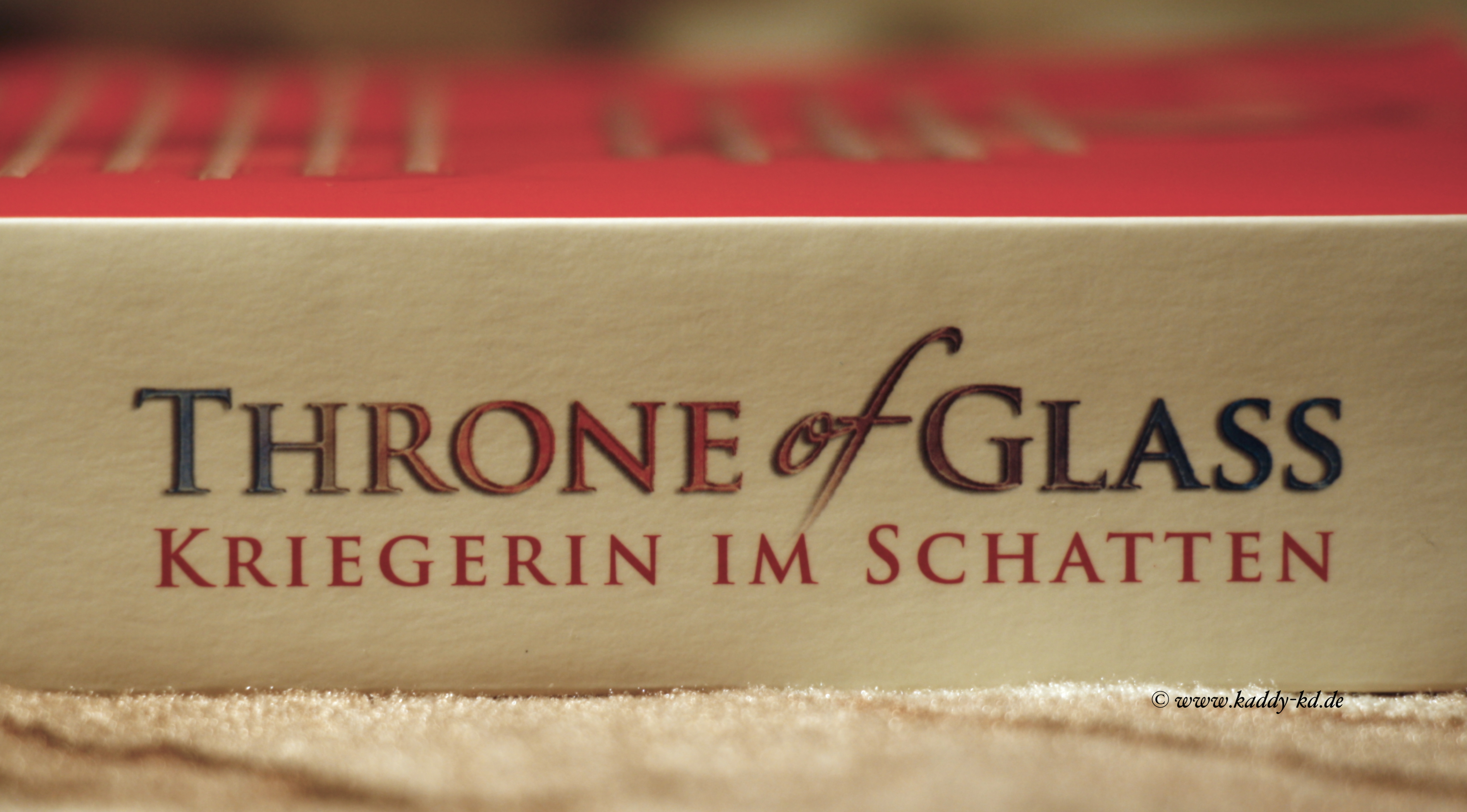 Throne of Glass Kriegerin im Schatten Buchcover